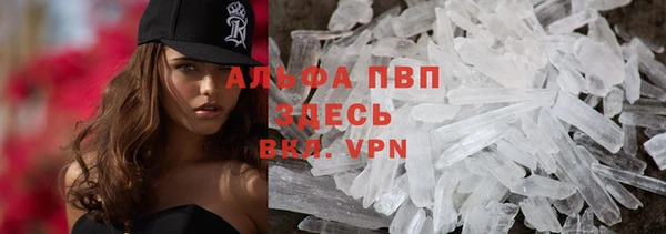 индика Дмитров