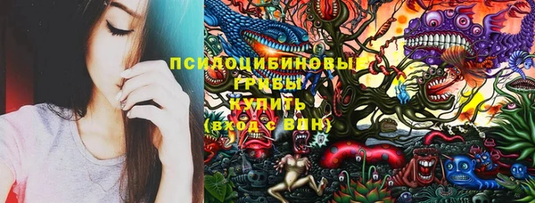 индика Дмитров