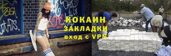 индика Дмитров