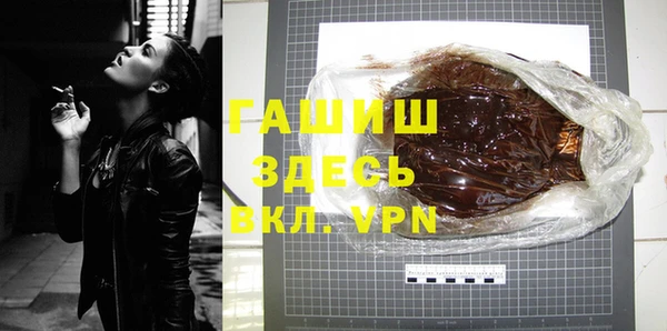 индика Дмитров