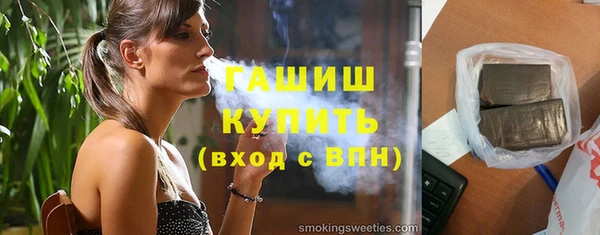 индика Дмитров