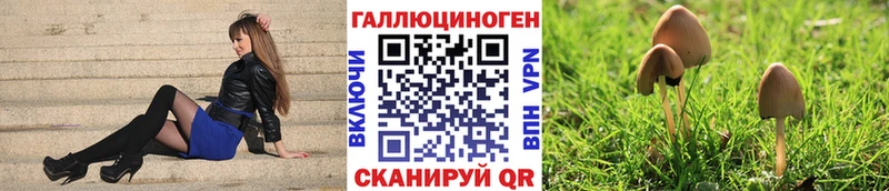 Псилоцибиновые грибы Psilocybine cubensis  кракен ССЫЛКА  Тарко-Сале 